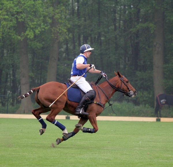 Polo_Art   037.jpg